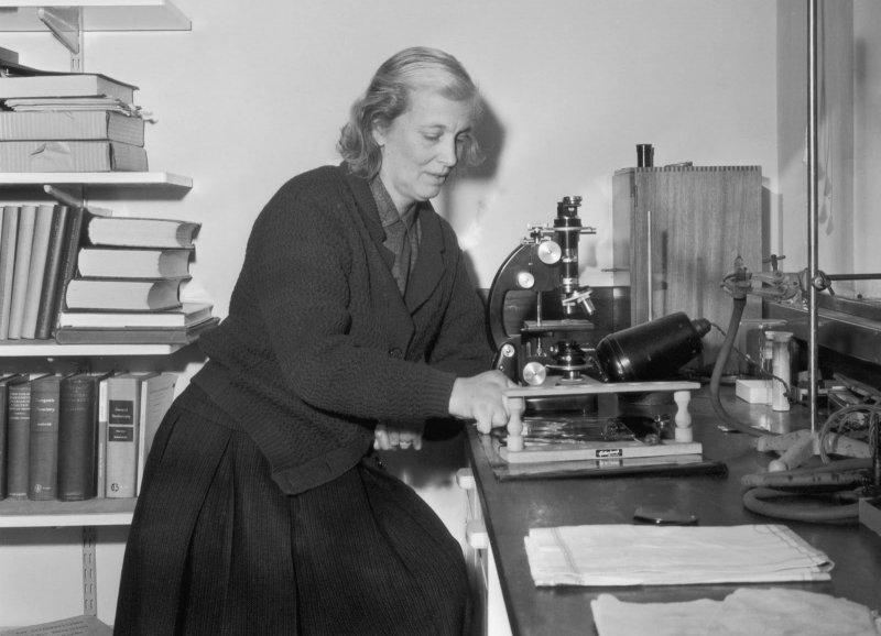 Dorothy Crowfoot Hodgkin