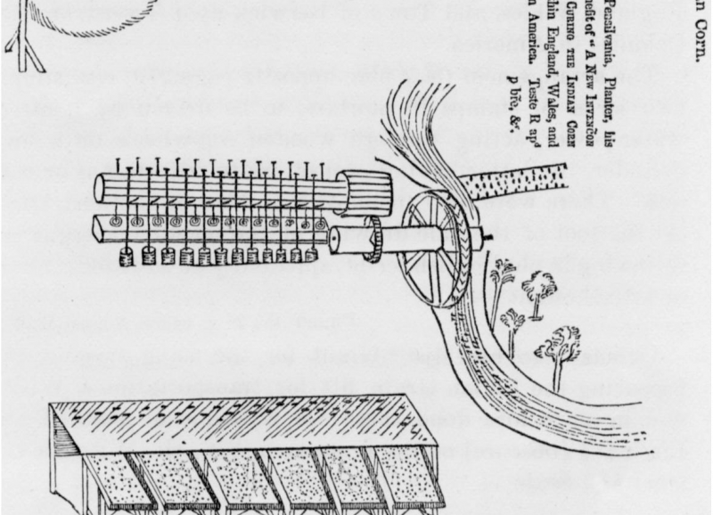Sybilla Righton Masters