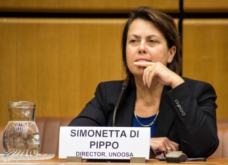 Simonetta Di Pippo