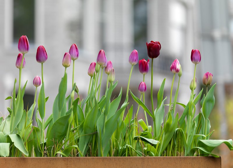 Zinaída Bochántseva
