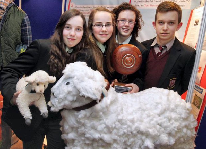 Sheep Wash